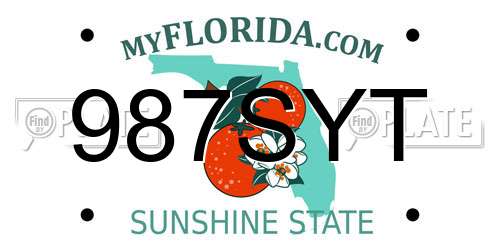 987SYT Florida License Plate