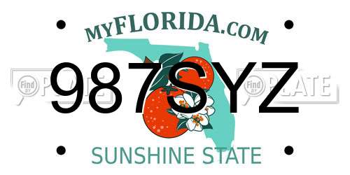 987SYZ Florida License Plate