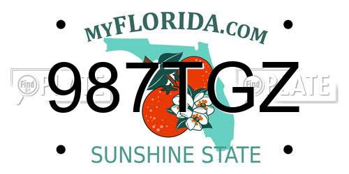 987TGZ Florida License Plate