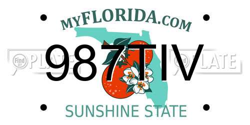 987TIV Florida License Plate