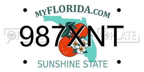 987XNT Florida License Plate