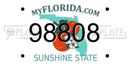 98808 Florida License Plate