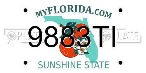 9883TI Florida License Plate