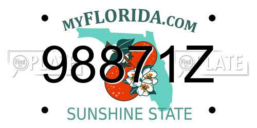 98871Z Florida License Plate
