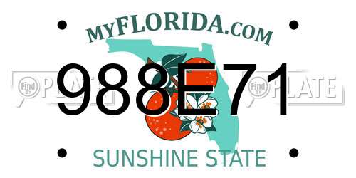 988E71 Florida License Plate