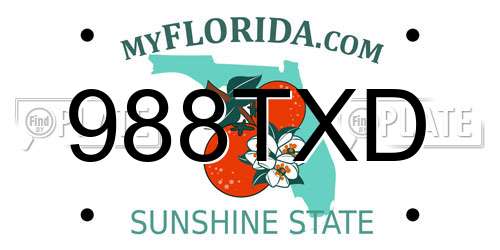 988TXD Florida License Plate