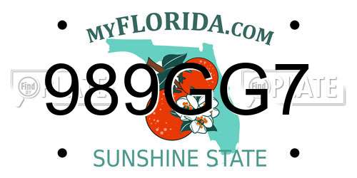 989GG7 Florida License Plate