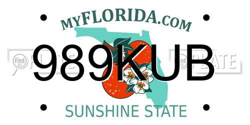 989KUB Florida License Plate