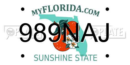 989NAJ Florida License Plate