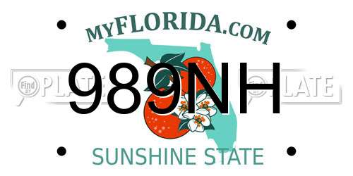 989NH Florida License Plate