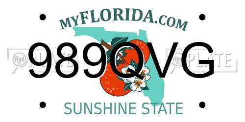 989QVG Florida License Plate