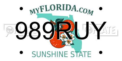 989RUY Florida License Plate