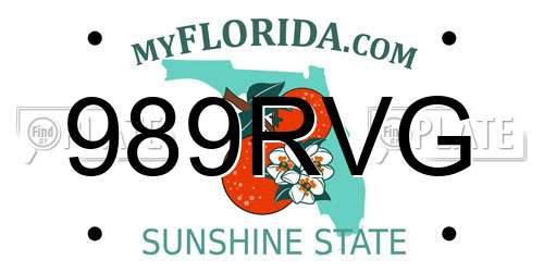 989RVG Florida License Plate