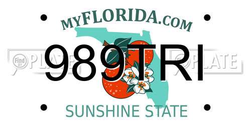 989TRI Florida License Plate