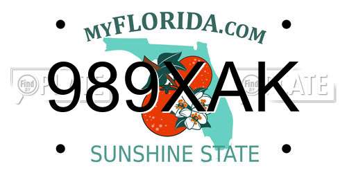 989XAK Florida License Plate