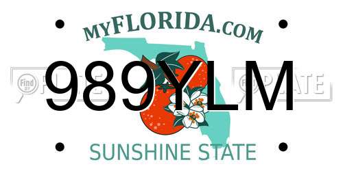 989YLM Florida License Plate