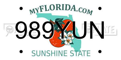 989YUN Florida License Plate