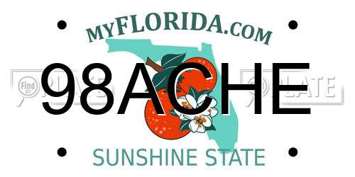 98ACHE Florida License Plate