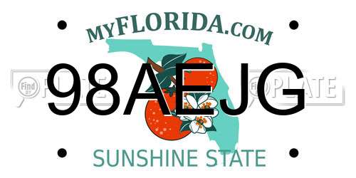 98AEJG Florida License Plate