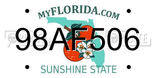 98AF506 Florida License Plate
