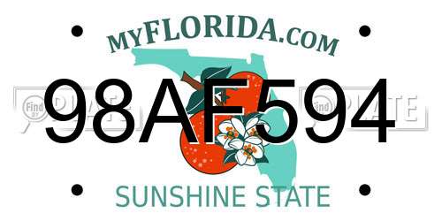 98AF594 Florida License Plate