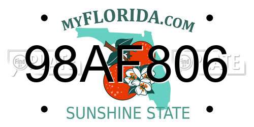 98AF806 Florida License Plate
