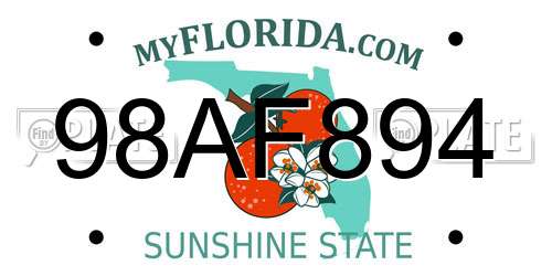 98AF894 Florida License Plate