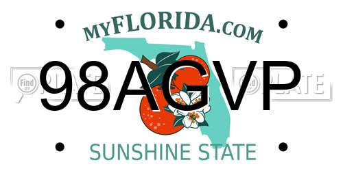 98AGVP Florida License Plate