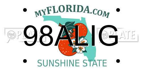 98ALIG Florida License Plate