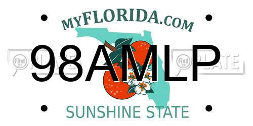98AMLP Florida License Plate