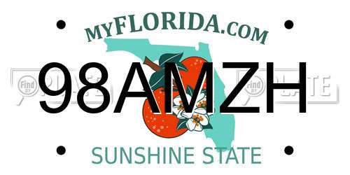 98AMZH Florida License Plate