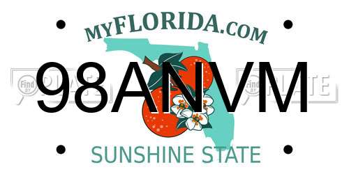 98ANVM Florida License Plate