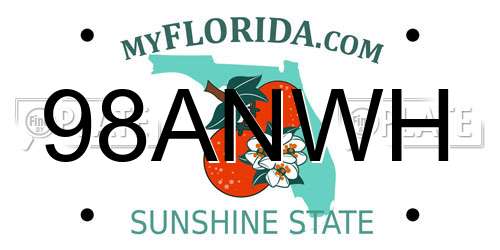 98ANWH Florida License Plate