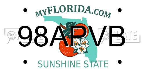 98APVB Florida License Plate