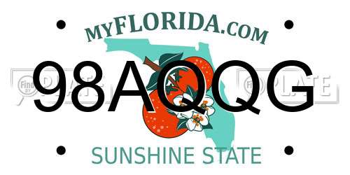 98AQQG Florida License Plate