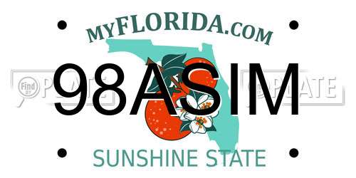 98ASIM Florida License Plate