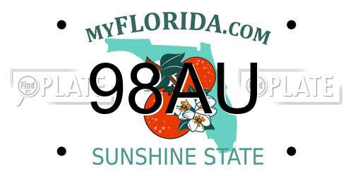 98AU Florida License Plate