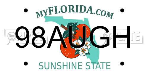 98AUGH Florida License Plate
