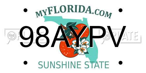 98AYPV Florida License Plate