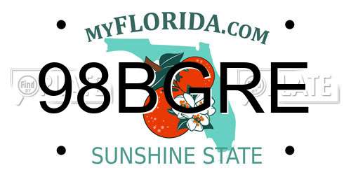 98BGRE Florida License Plate