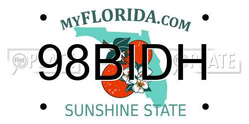 98BIDH Florida License Plate