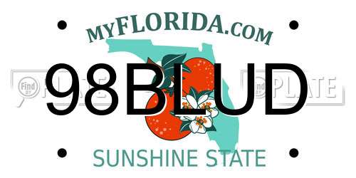 98BLUD Florida License Plate