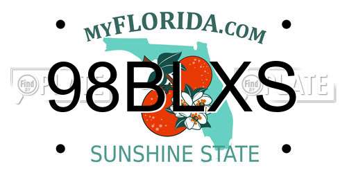 98BLXS Florida License Plate