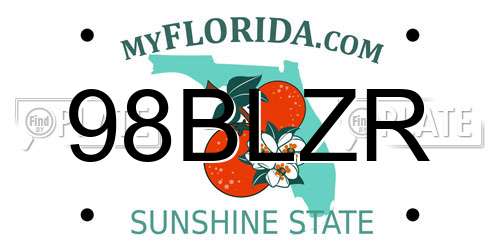 98BLZR Florida License Plate