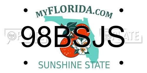 98BSJS Florida License Plate