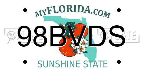 98BVDS Florida License Plate