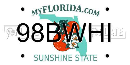 98BWHI Florida License Plate