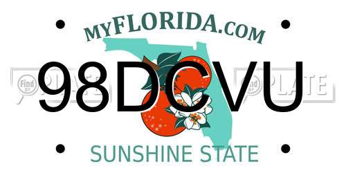 98DCVU Florida License Plate