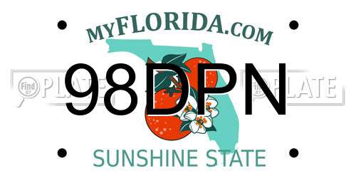 98DPN Florida License Plate