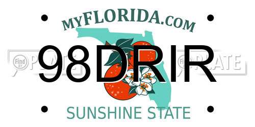 98DRIR Florida License Plate